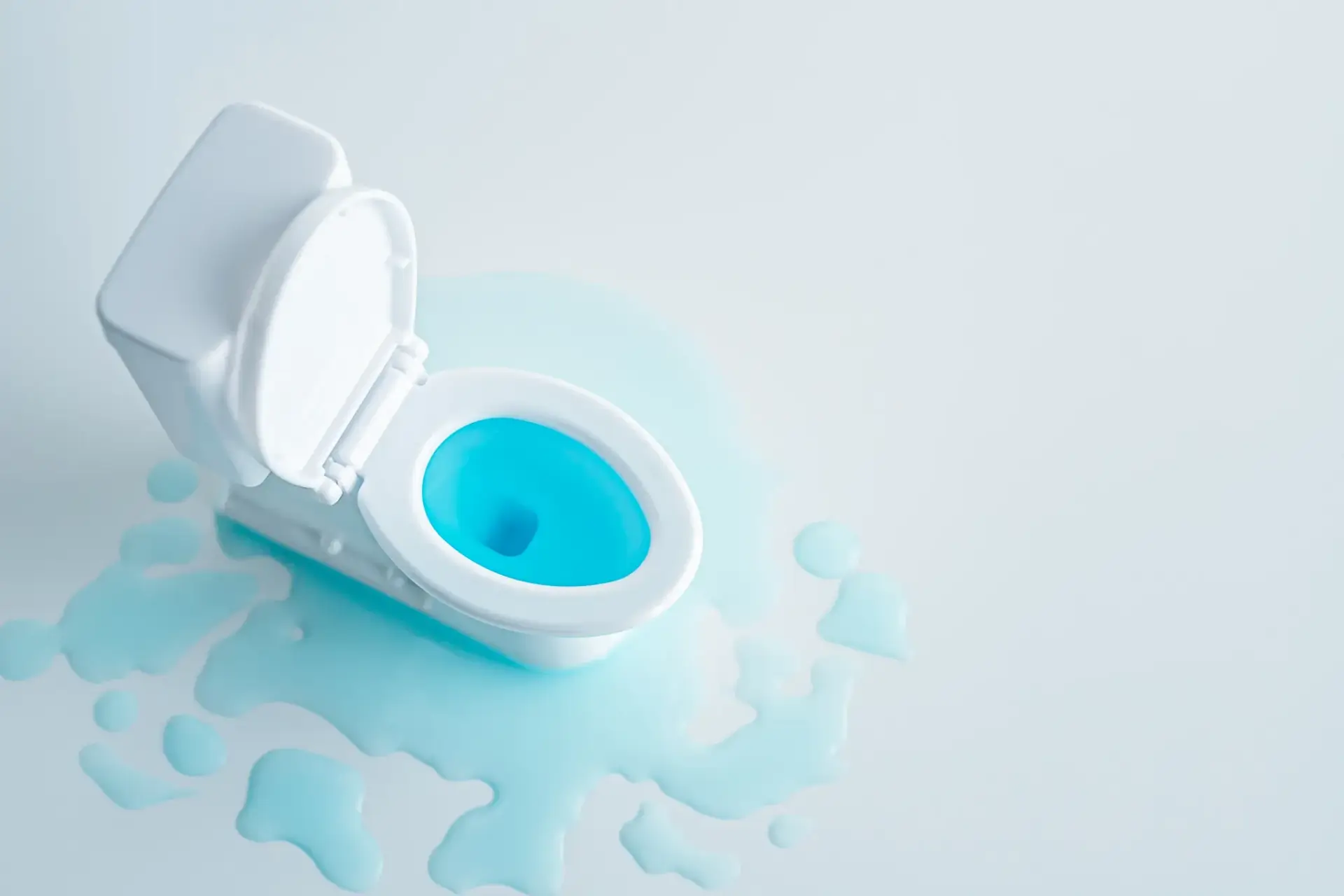 トイレの逆流はなぜ起こる？原因から自分でできる対処法、予防策、業者依頼まで徹底解説