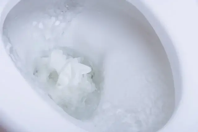 トイレ逆流の主な原因